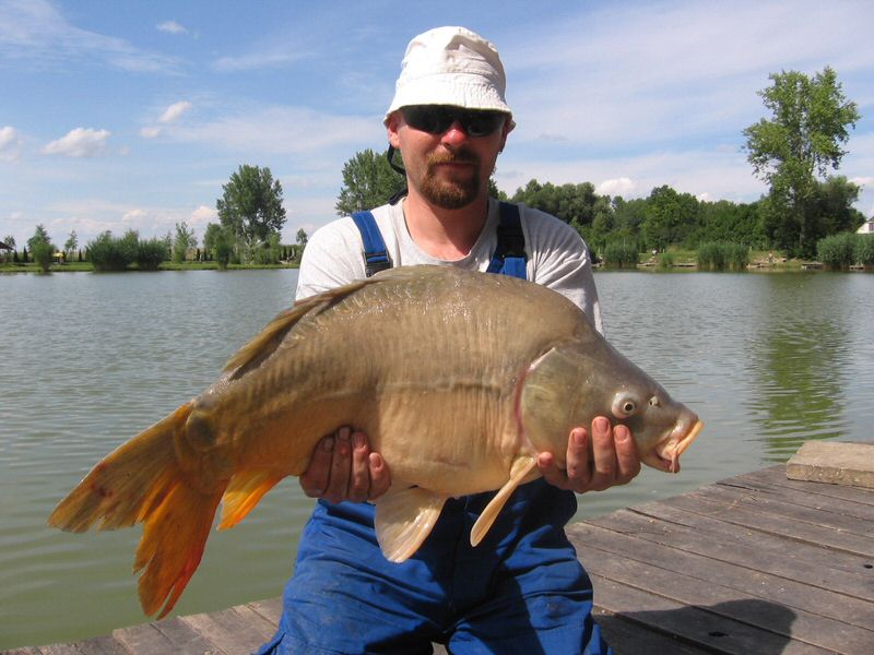 halak 2611.jpg